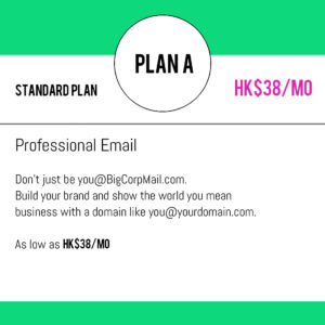 Professional Email Service